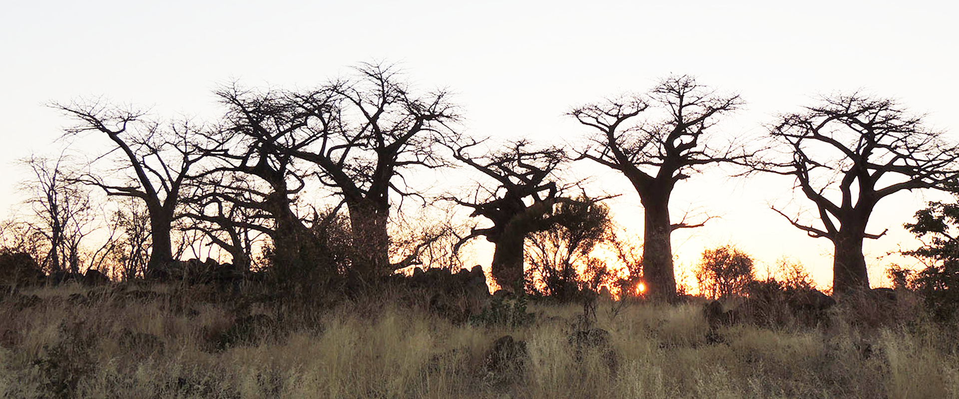 MAKGADIKGADI NATIONAL PARK